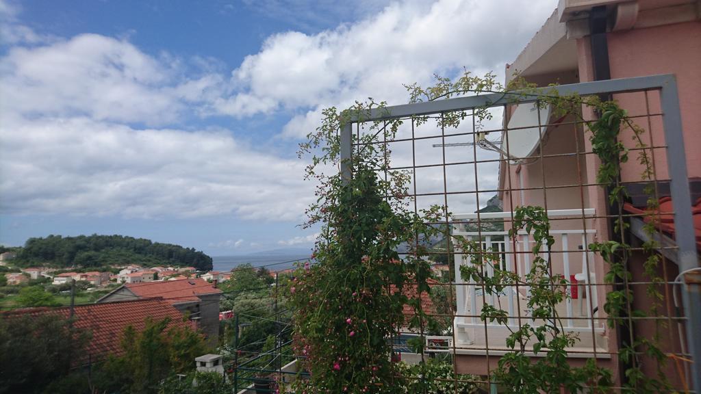 Apartments Leko Zuljana Exterior photo